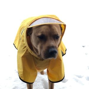 Meet your Posher, Todd